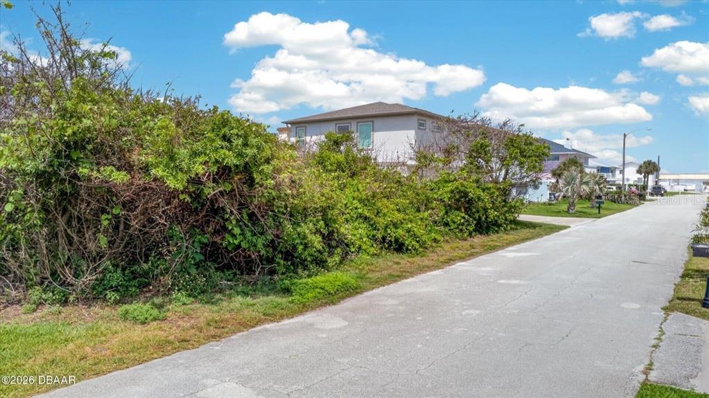 A paved road runs alongside a dense thicket of green bushes and a residential house — 28 OCEAN BREEZE CIRCLE, ORMOND BEACH, FL