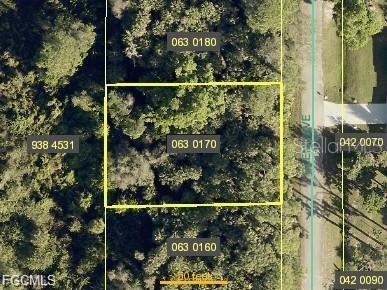711 GLENN AVENUE, LEHIGH ACRES, FL — photo 2 of 2