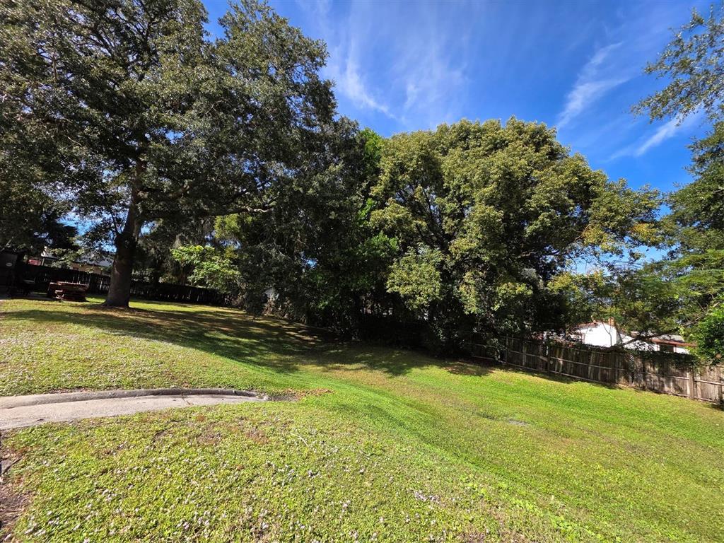 A grassy, sloped residential lot features large mature trees and a wooden perimeter fence — 217 E STATE ROAD 434, LONGWOOD, FL