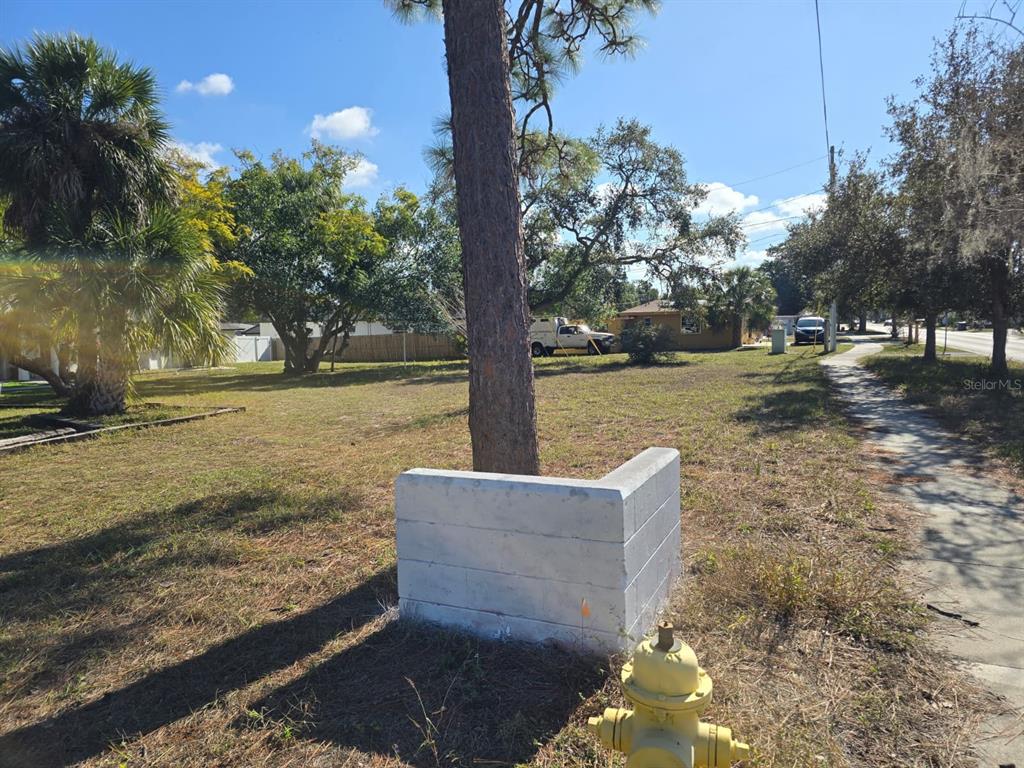 A vacant lot features a tall tree with a concrete block base and a fire hydrant — MILWAUKEE AVENUE, DUNEDIN, FL