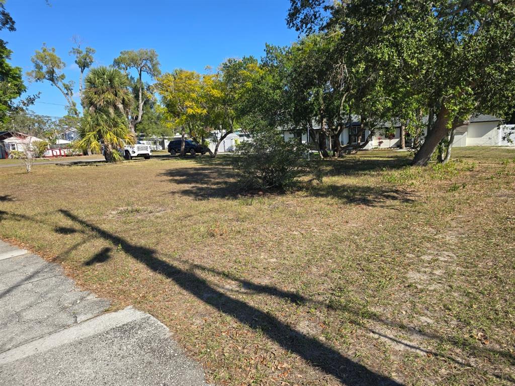 A grassy, vacant residential lot features scattered trees and a view of neighboring houses — MILWAUKEE AVENUE, DUNEDIN, FL