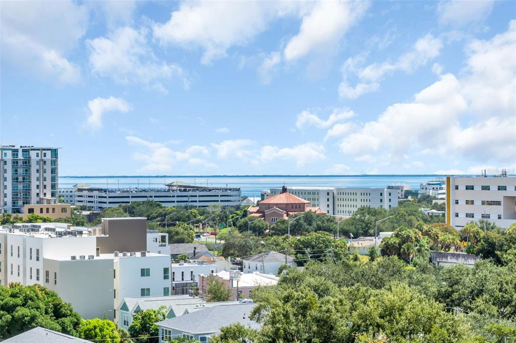 316 8TH STREET S UNIT 703, ST PETERSBURG, FL — photo 5 of 30