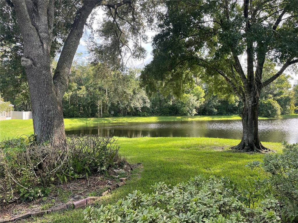 A single-story house with a gray exterior, arched entryway, and a two-car paved driveway — 133 REDTAIL PLACE, WINTER SPRINGS, FL