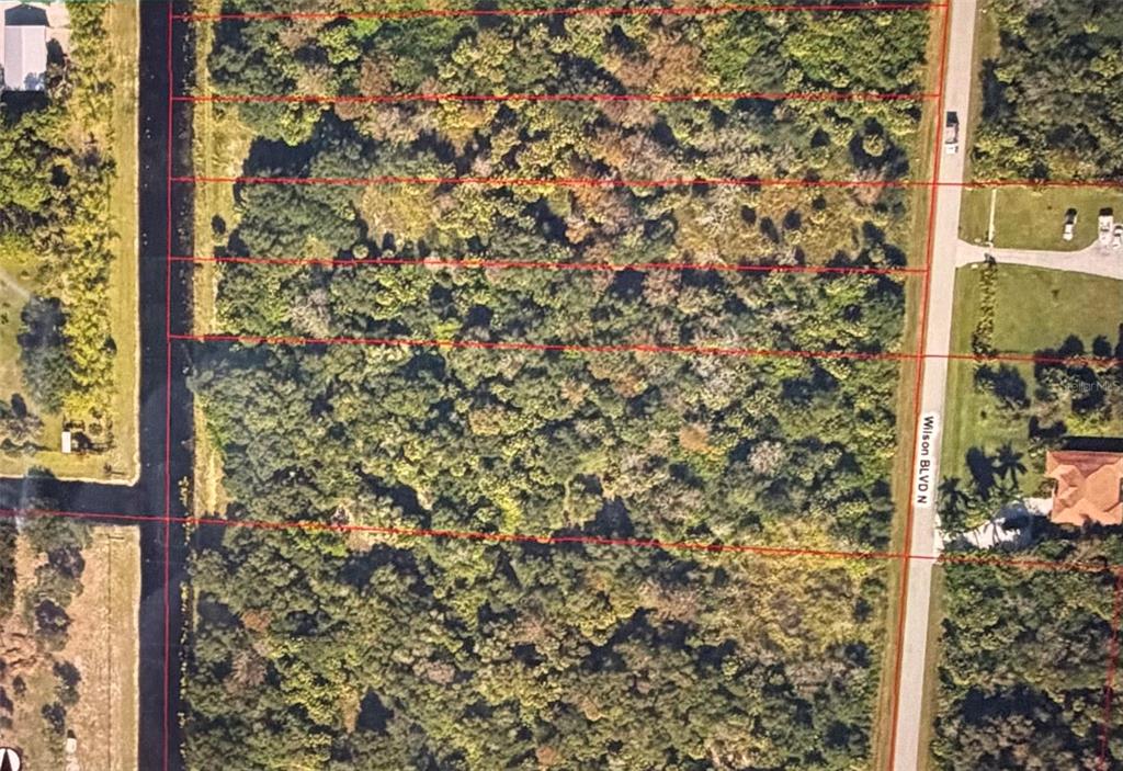 This aerial map shows several rectangular, wooded land parcels bordered by a road and canal — 4021 WILSON BOULEVARD N, NAPLES, FL