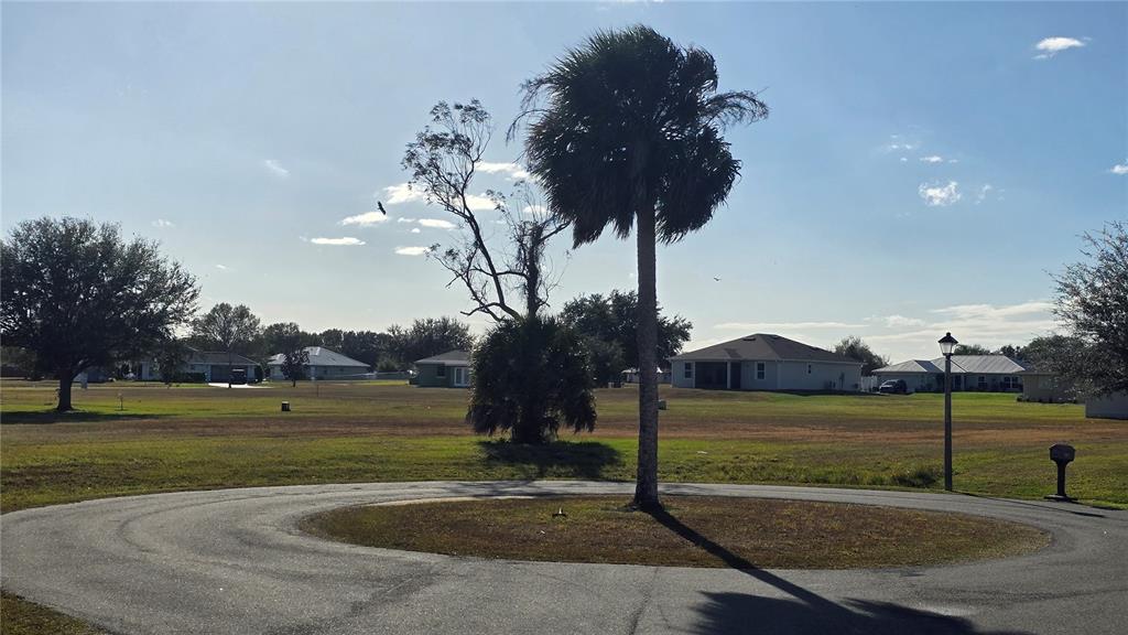 A paved circular driveway surrounds a palm tree in a grassy residential neighborhood — 7816 MAYA COURT, SEBRING, FL