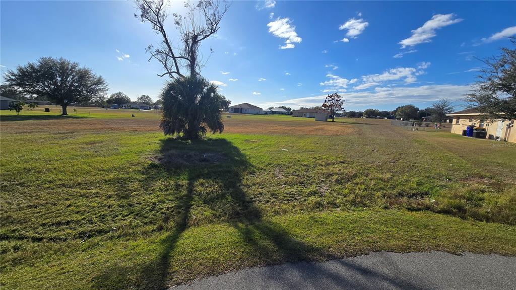 A large, grassy vacant lot features a prominent palm tree and distant residential houses — 7816 MAYA COURT, SEBRING, FL