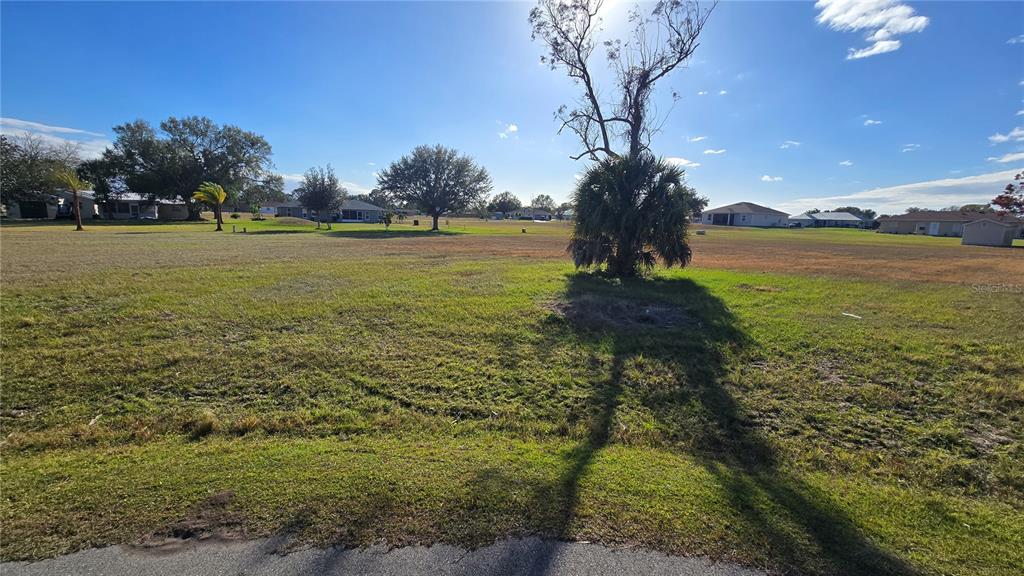 A grassy, vacant residential lot features a large palm tree and scattered trees under sunlight — 7816 MAYA COURT, SEBRING, FL