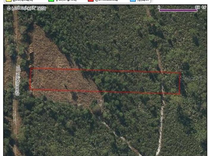 An aerial view shows a rectangular plot of land outlined in red near a road — 1049 GREENBRIAR DRIVE, CHRISTMAS, FL