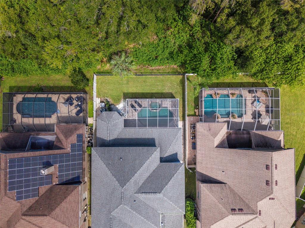 11621 RENAISSANCE VIEW COURT, TAMPA, FL — photo 3 of 30