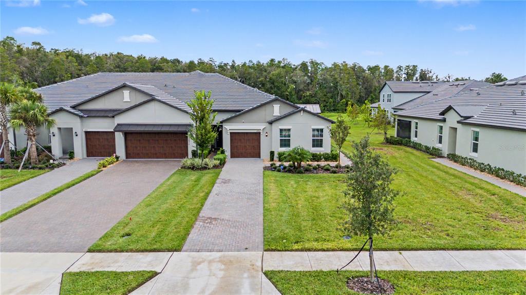 10906 RUSTIC EVE COURT, LAND O LAKES, FL — photo 3 of 30