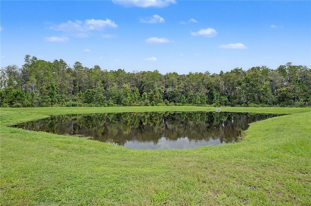 10906 RUSTIC EVE COURT, LAND O LAKES, FL — photo 4 of 30