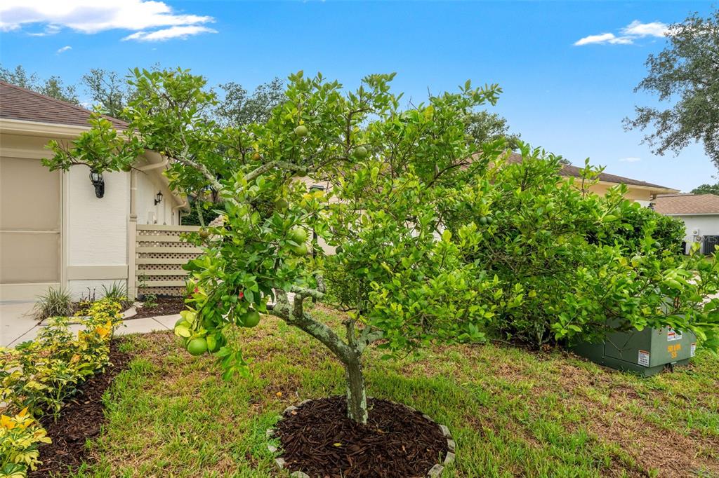 7350 ROSEMONT LANE, SPRING HILL, FL — photo 4 of 85