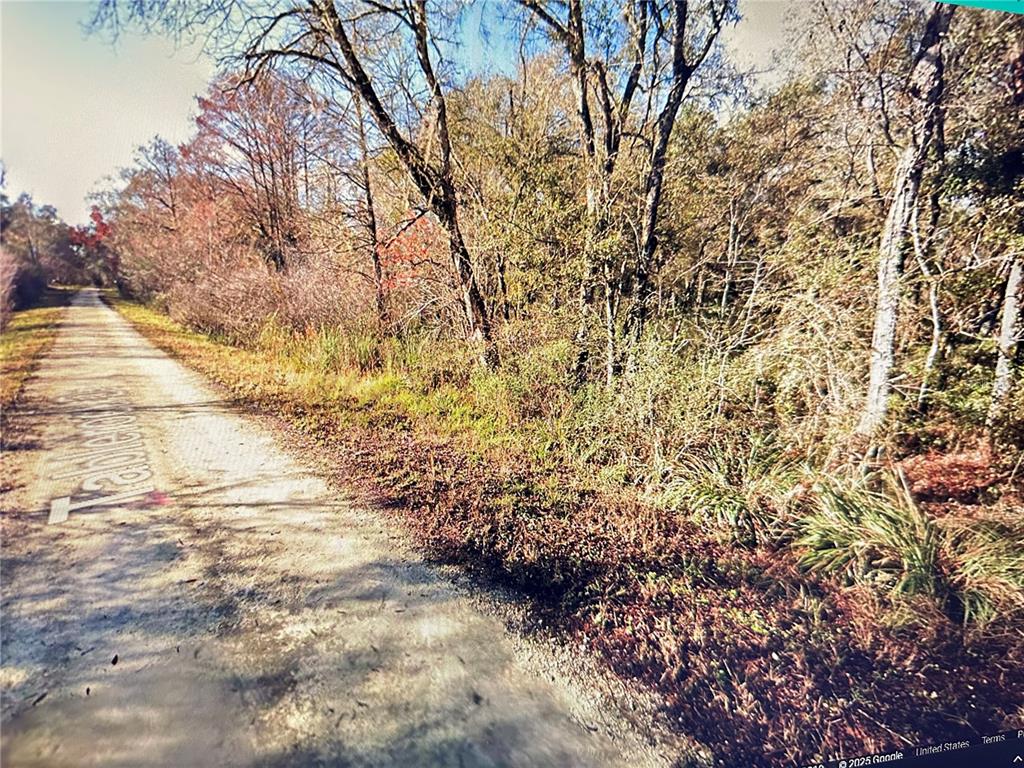 A dirt path winds through a wooded area with tall trees and dry brush — TABLE ROCK DRIVE, WEBSTER, FL