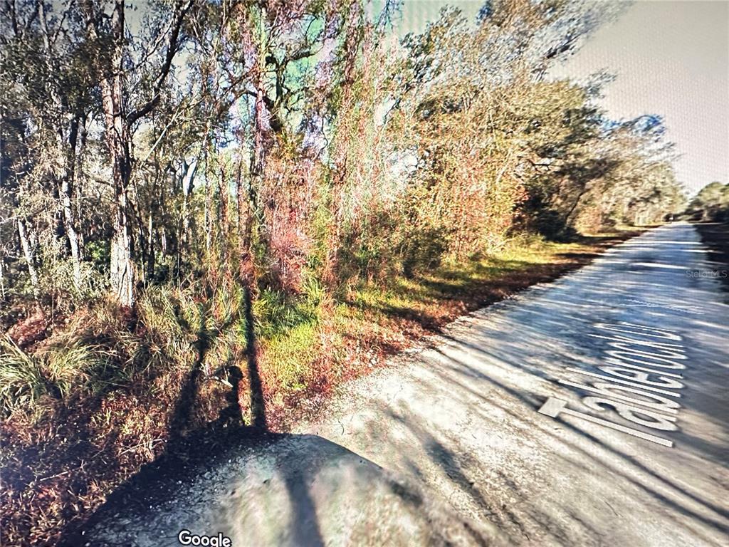 A paved road runs alongside a wooded area with tall trees and dense undergrowth — TABLE ROCK DRIVE, WEBSTER, FL