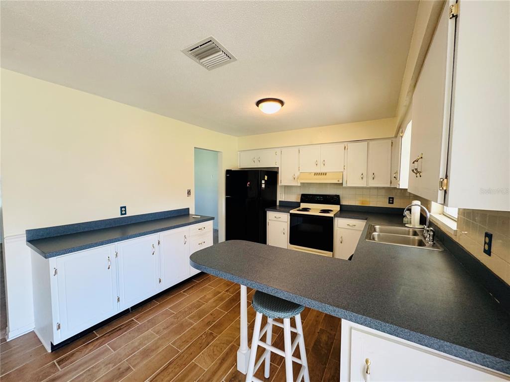 28100 LOIS DRIVE, TAVARES, FL — photo 4 of 20