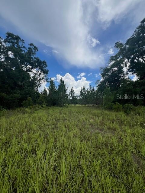 US HWY 441, HIGH SPRINGS, FL — photo 4 of 8