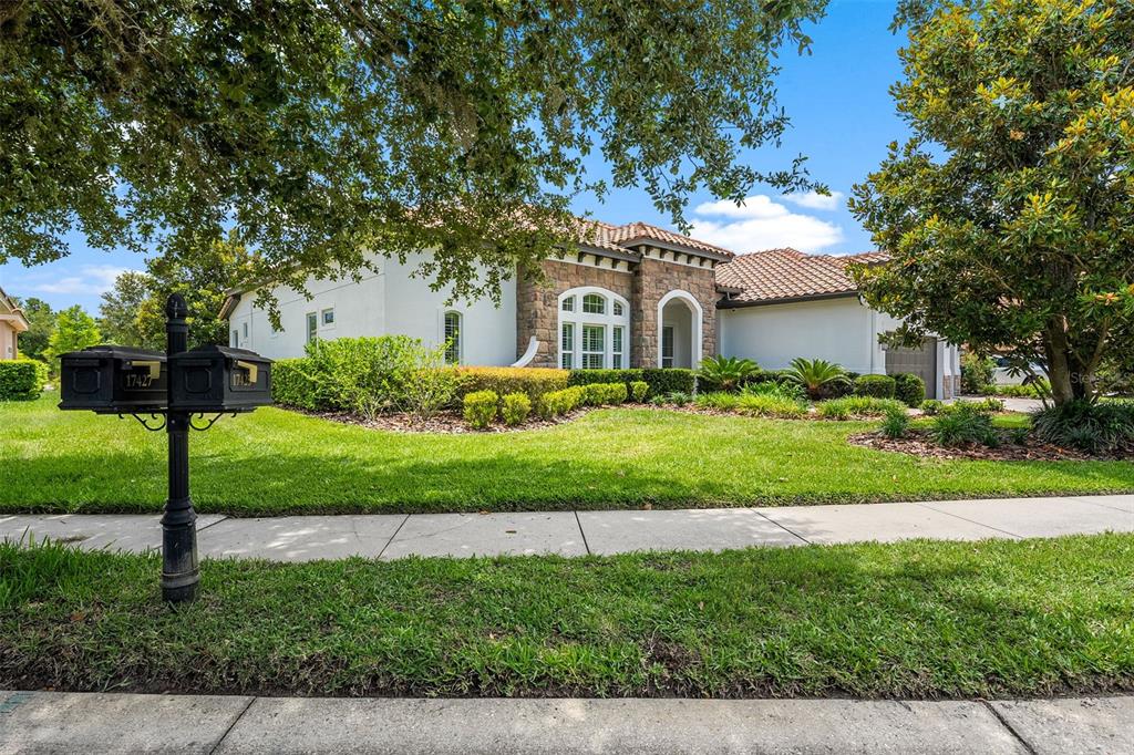 A single-story house with a stone facade, tile roof, and a manicured front lawn — 17425 VARONA PLACE, LUTZ, FL