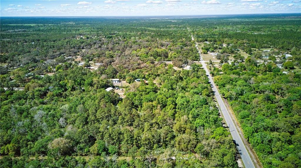 An aerial view shows a paved road running through a dense, wooded residential area — HARRISON RD, MIMS, FL