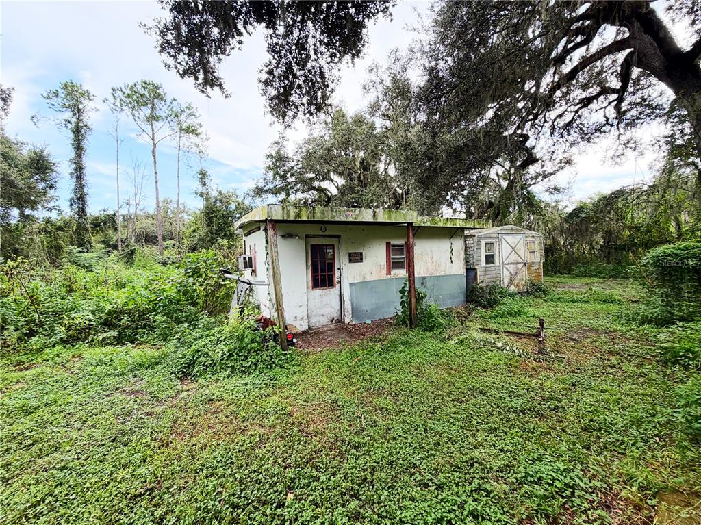 A small, weathered white structure with a red-trimmed door sits in a grassy, overgrown yard — 36910 SUNSHINE ROAD, ZEPHYRHILLS, FL