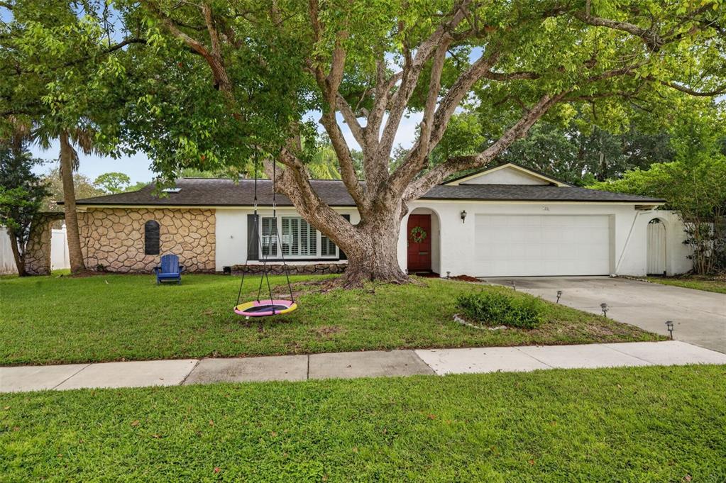 A single-story house with a stone facade, a large tree, and a swing in front — 2211 KING RICHARDS COURT, WINTER PARK, FL