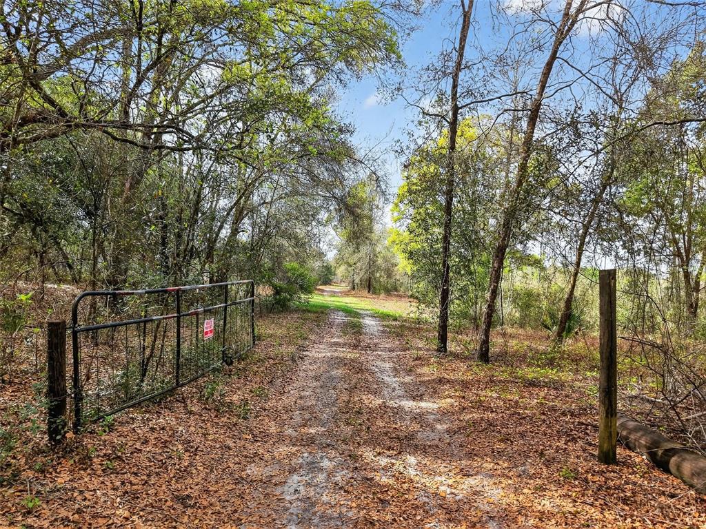 ISLAND POND LANE, EUSTIS, FL — photo 5 of 20