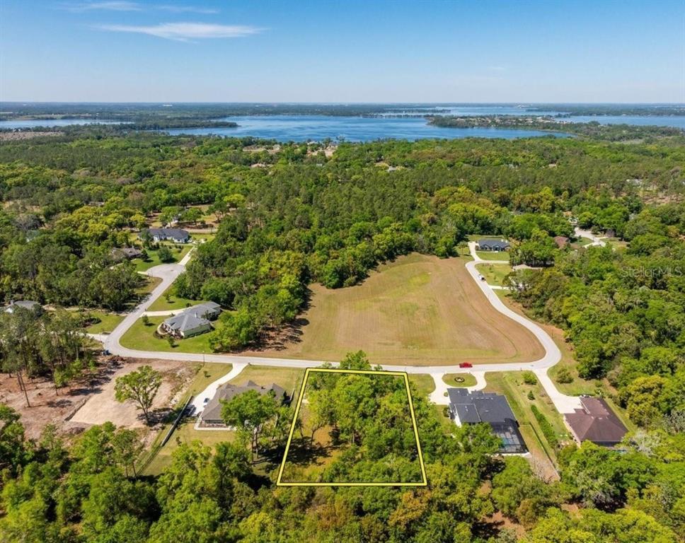 A grassy, sloping vacant lot features a cluster of mature trees next to a house — 7041 NORNE LANE, MOUNT DORA, FL