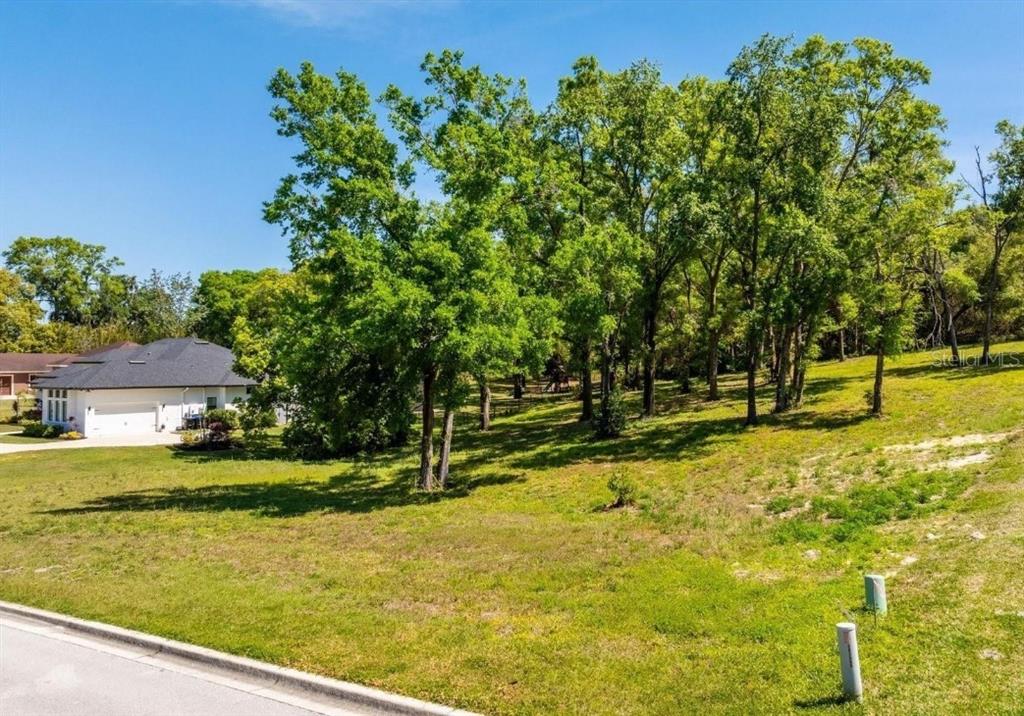 An empty, grassy residential lot with mature trees sits between two suburban houses — 7041 NORNE LANE, MOUNT DORA, FL