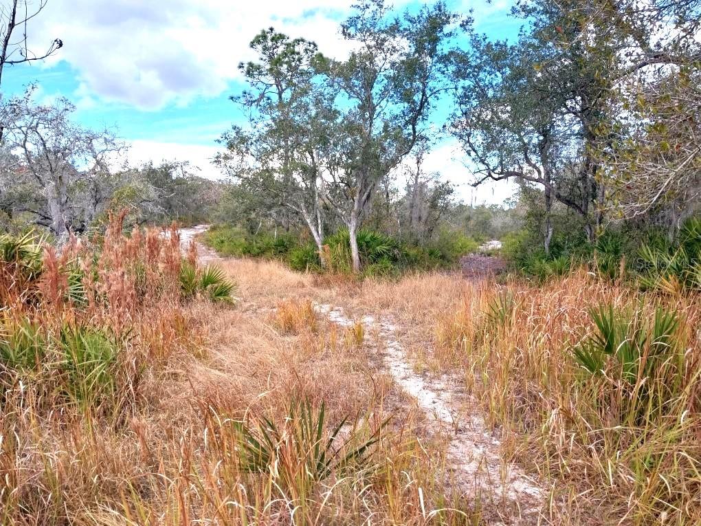 A sandy dirt path winds through a grassy field toward a wooded area with trees — 701 GOPHER TRAIL, FROSTPROOF, FL