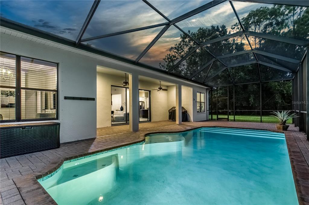 A screened-in patio features a swimming pool with steps and a brick paver deck — 13008 EAGLES ENTRY DRIVE, ODESSA, FL