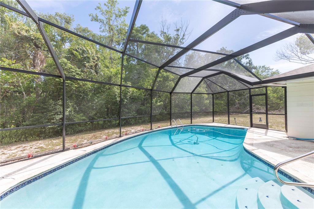 A screened-in swimming pool with a curved edge sits on a concrete patio — 12101 LONGSTRAP LANE, HUDSON, FL