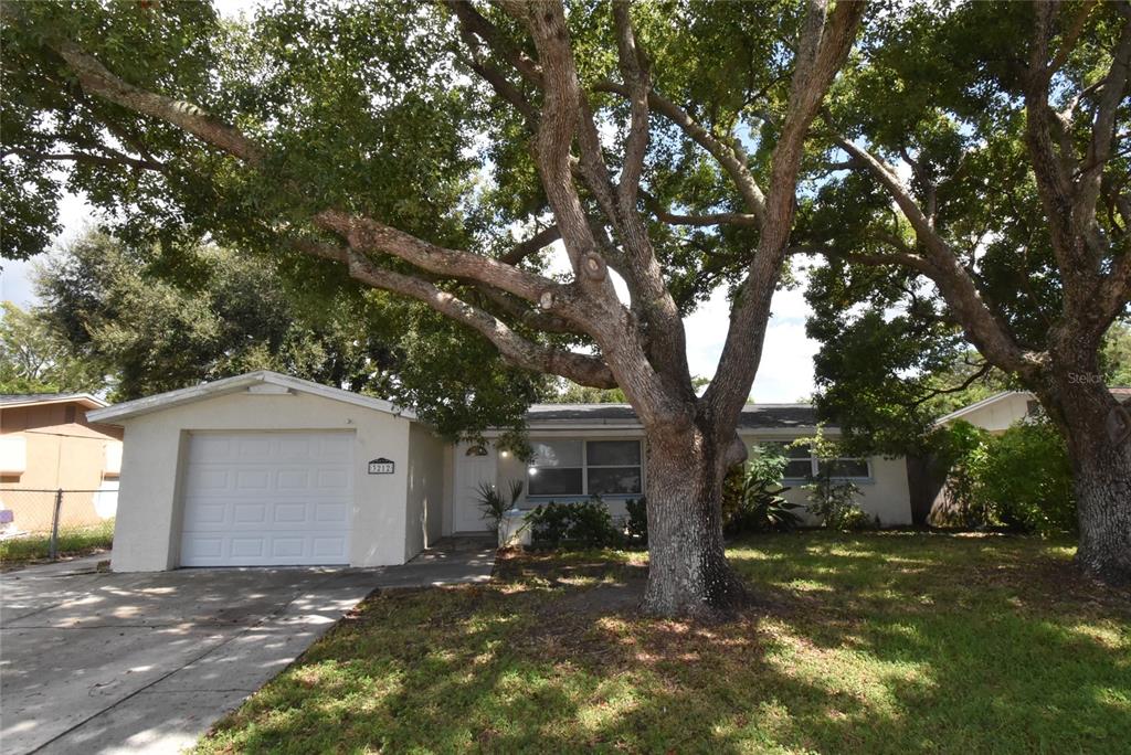 3212 BLUE BIRD DRIVE