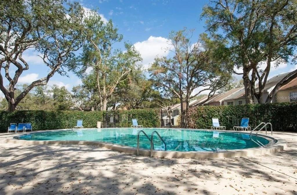 An outdoor swimming pool surrounded by lounge chairs, a hedge, and mature trees — 11338 STRATTON PARK DRIVE, TEMPLE TERRACE, FL