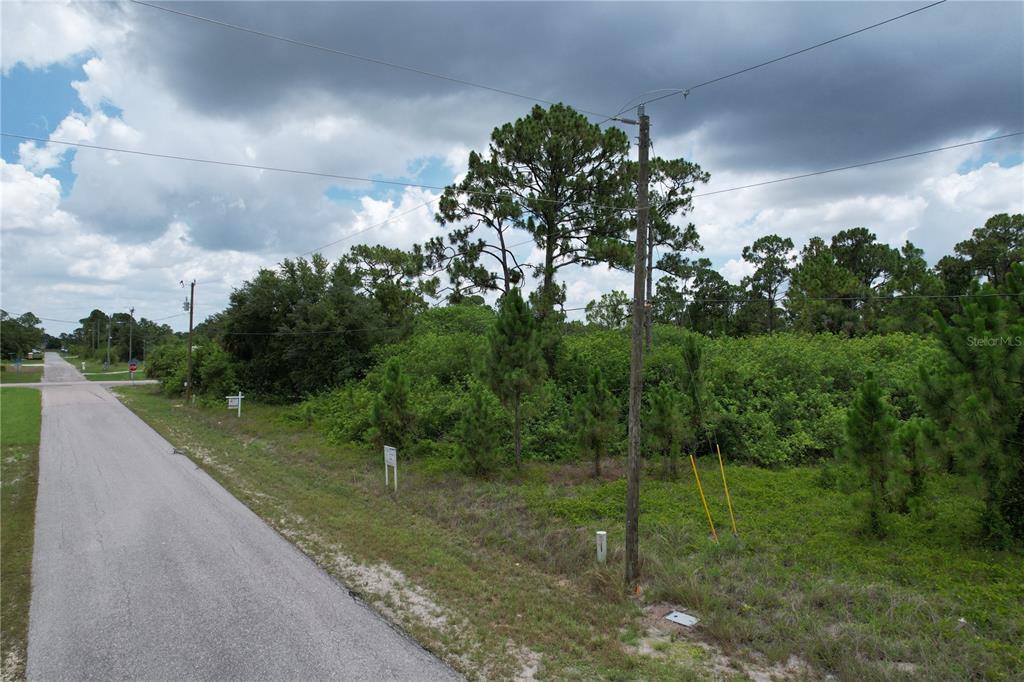 A paved road runs alongside a vacant, wooded lot with a utility pole — 980 LAKESIDE DRIVE, LEHIGH ACRES, FL