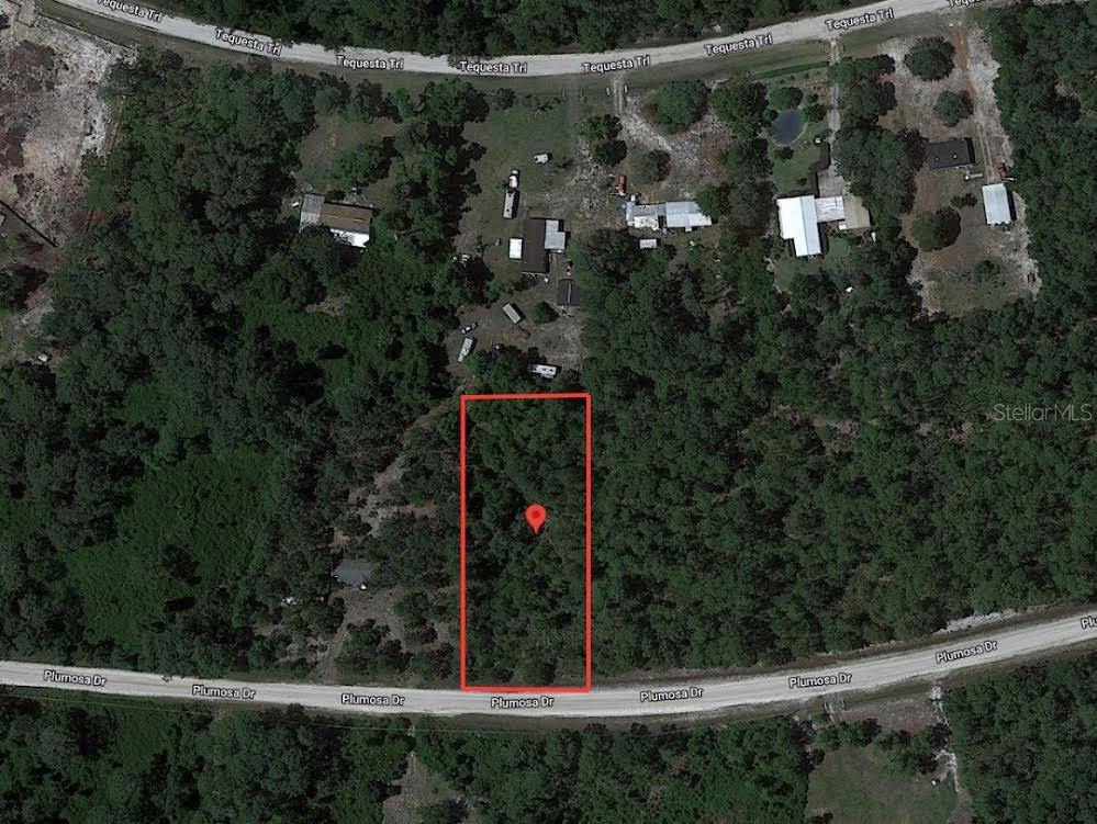 This is an aerial map showing a rectangular, wooded lot located between two roads — 224 PLUMOSA DRIVE, GEORGETOWN, FL
