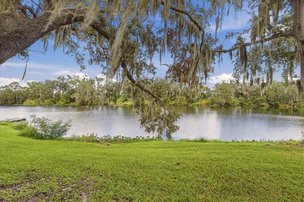 368 LAKE HARRIS DRIVE, LAKELAND, FL — photo 2 of 20