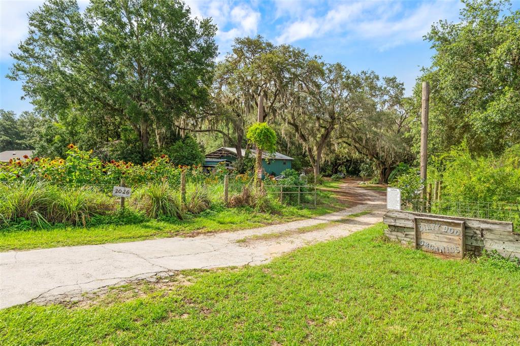 2016 LEWIS ROAD, LEESBURG, FL — photo 3 of 30