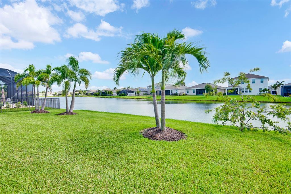 A grassy backyard with palm trees overlooks a lake behind several suburban houses — 6435 DEVESTA LOOP, PALMETTO, FL
