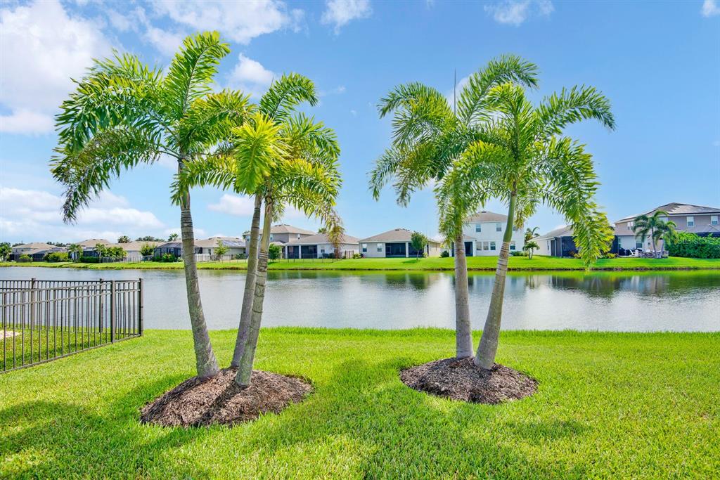 Two palm trees stand on a grassy lawn overlooking a lake behind residential houses — 6435 DEVESTA LOOP, PALMETTO, FL