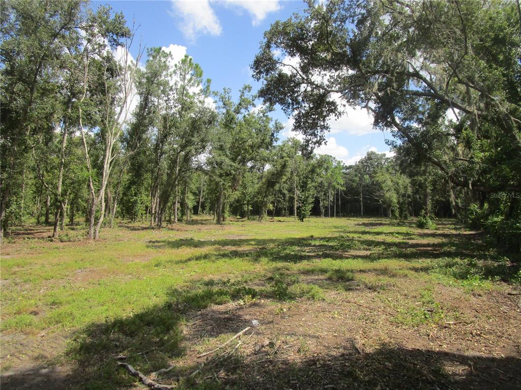 A cleared, grassy lot is surrounded by mature trees under a blue sky — 00 CASTLEWOOD ROAD, SEFFNER, FL