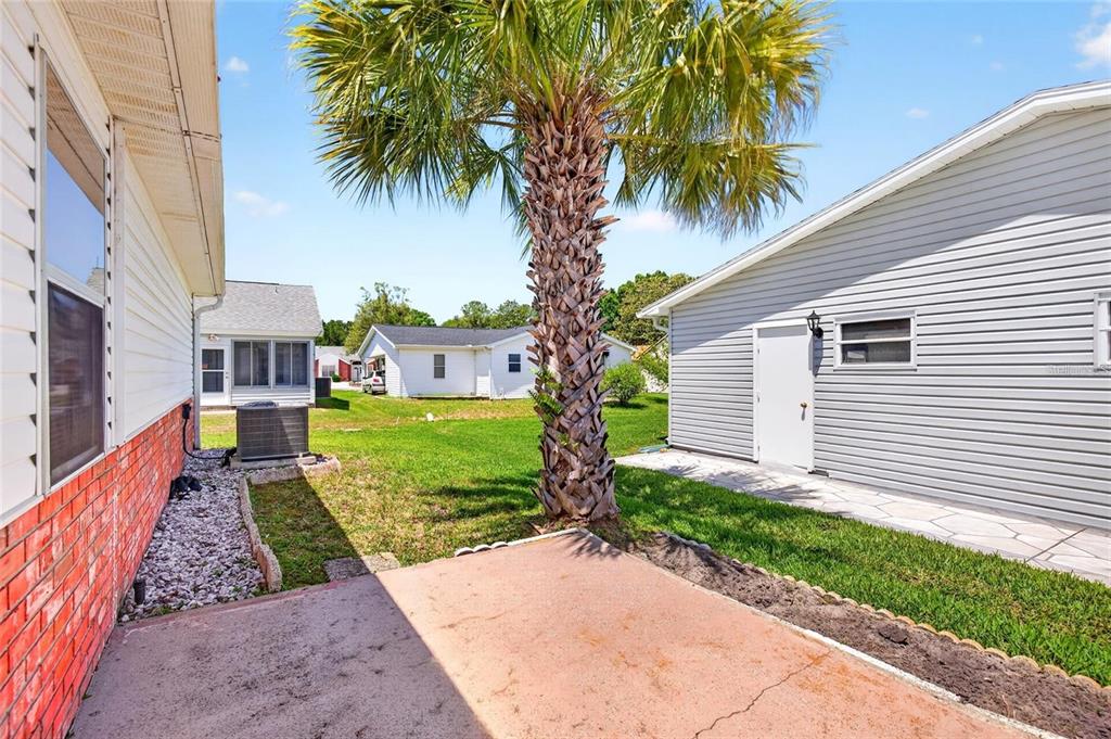 A backyard view features a concrete patio, a palm tree, and neighboring houses with siding — 932 CHULA CT, LADY LAKE, FL