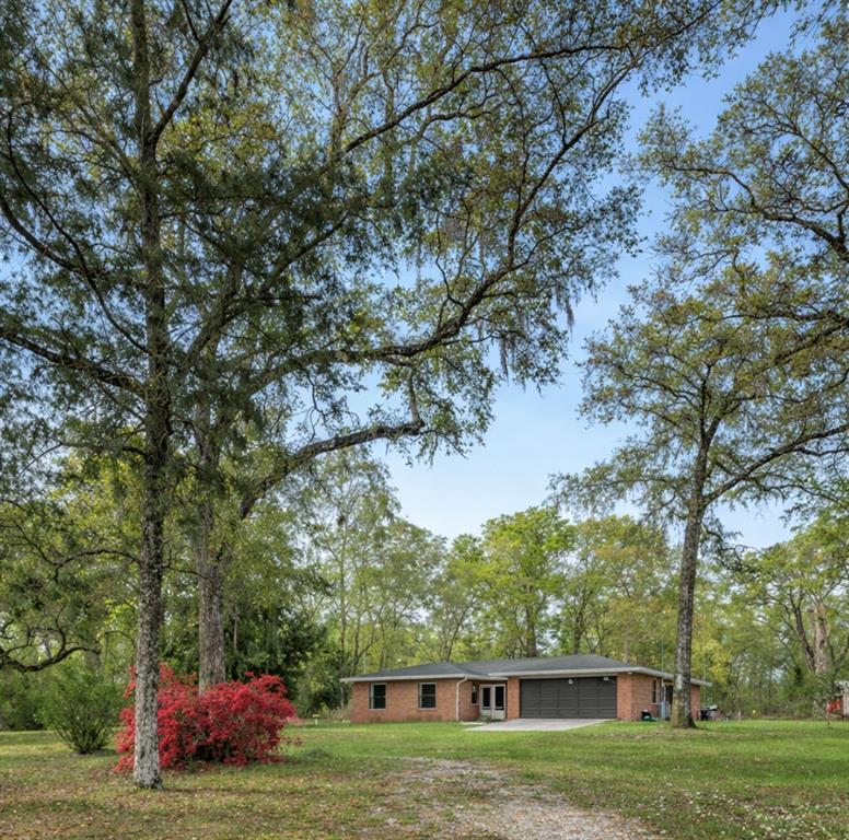 A dirt driveway leads toward a brick house surrounded by large, moss-draped oak trees — 26250 BLACKJACK STREET, BROOKSVILLE, FL