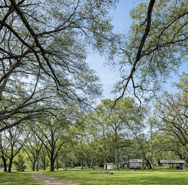 A gravel driveway leads through a grassy field lined with mature trees toward a property — 26250 BLACKJACK STREET, BROOKSVILLE, FL