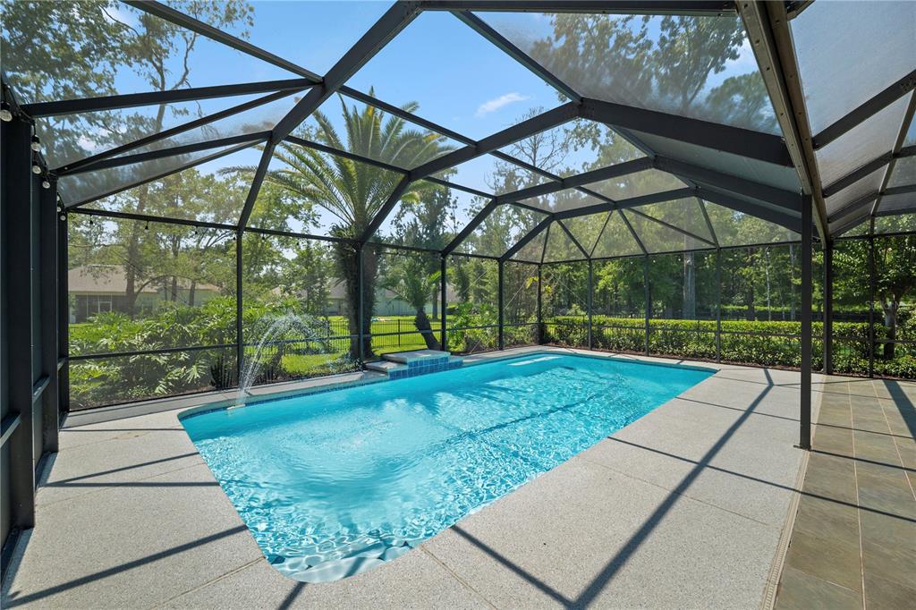 A rectangular swimming pool with a fountain sits inside a screened-in patio enclosure — 656 WYNDHAM COURT, ORANGE PARK, FL