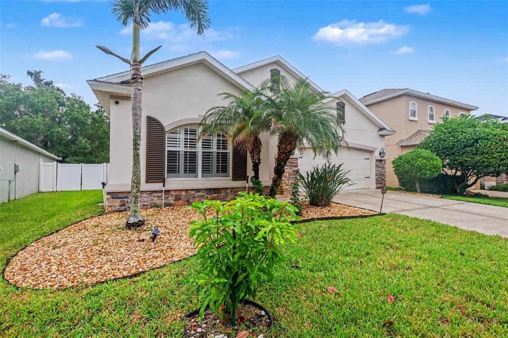 10710 SHADY PRESERVE DR, RIVERVIEW, FL — photo 2 of 25