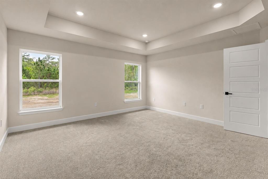 An empty bedroom features beige carpet, light-colored walls, a tray ceiling, and two windows — 1667 ANN ROSE WAY, LEESBURG, FL