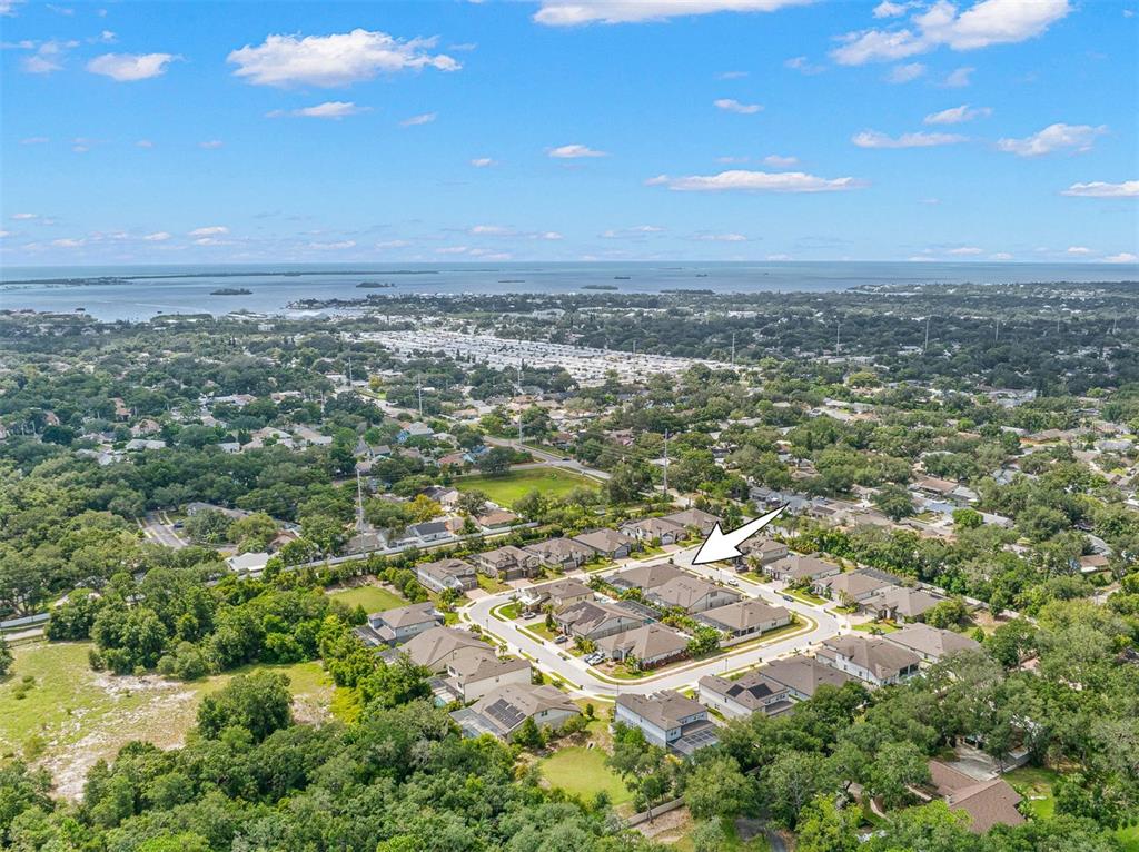 An aerial view shows a suburban neighborhood with houses, green trees, and a distant bay — 1528 FOREST GLEN COURT, PALM HARBOR, FL