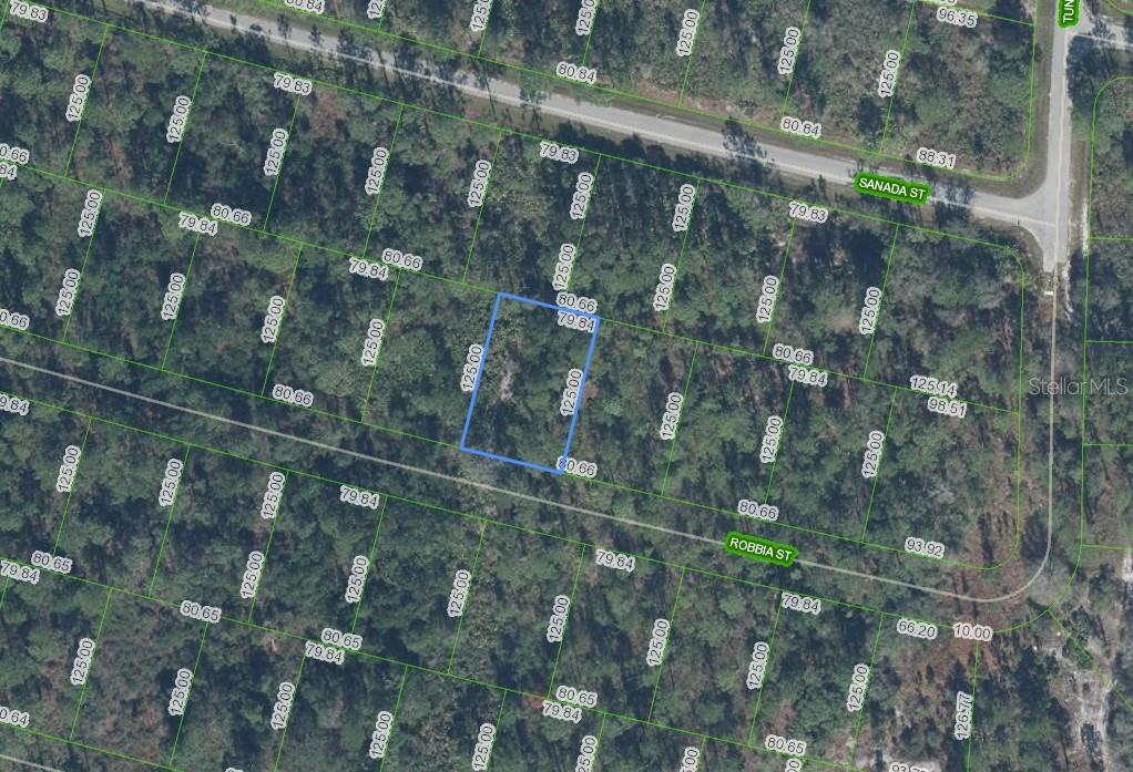 8604 ROBBIA STREET, SEBRING, FL — photo 2 of 2