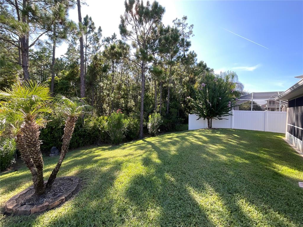 A grassy backyard features a palm tree, a white fence, and a wooded area — 151 PERGOLA PLACE, ORMOND BEACH, FL