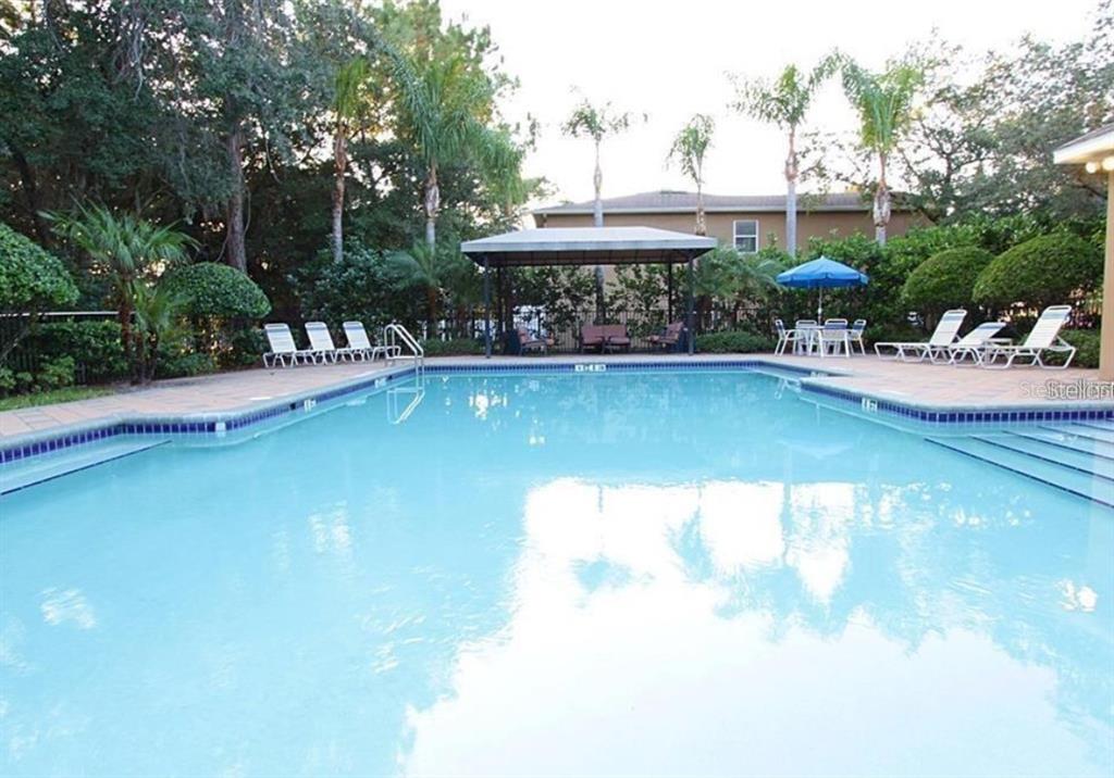 A swimming pool with a covered patio area, lounge chairs, and palm trees in the background — 8013 SUTTON TERRACE LANE, TAMPA, FL