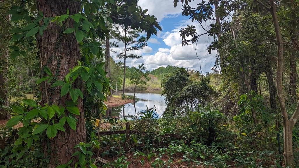 A view of a small pond surrounded by dense trees and foliage — 268 ALMYRA DRIVE, LAKE MARY, FL